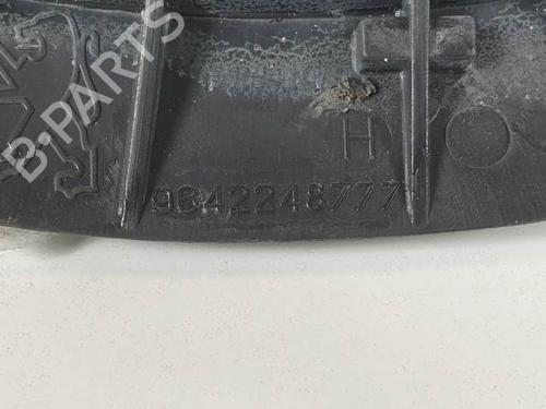 Front left interior door handle PEUGEOT 406 Break (8E/F) 1.9 TD | BP13315515I13 