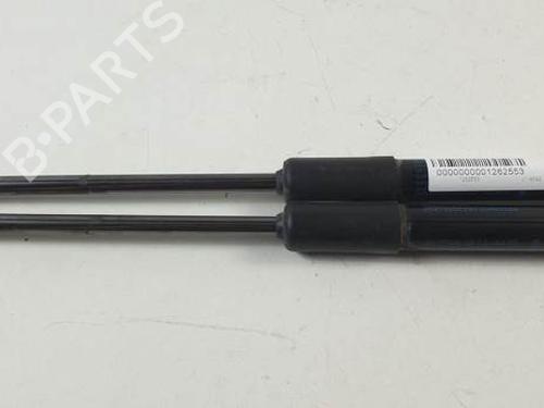 Hood lift support FIAT TALENTO Bus (296_)  654705053R