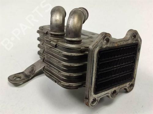 Used Egr Egr CHRYSLER VOYAGER IV (RG, RS) 2.8 CRD (150 hp) 13955262 13955262