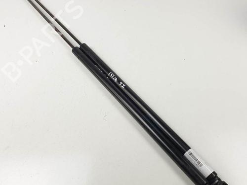 tailgate-lift-support-seat-toledo-iii-5p2-2004-2005-2006-2007-2008-2009-25117451 main image