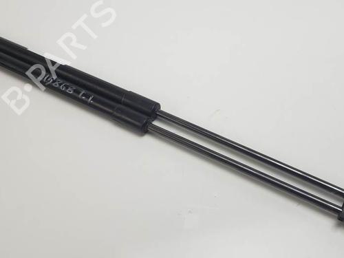 tailgate-lift-support-hyundai-accent-iii-mc-2005-2006-2007-2008-2009-2010-24350374 main image