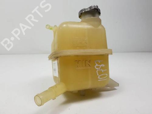 Used Expansion tank NISSAN X-TRAIL II (T31) 2.0 dCi 4x4 (150 hp) 11206903