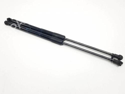 tailgate-lift-support-toyota-auris-_e15_-2006-2007-2008-2009-2010-2011-2012-2013-25294974 main image