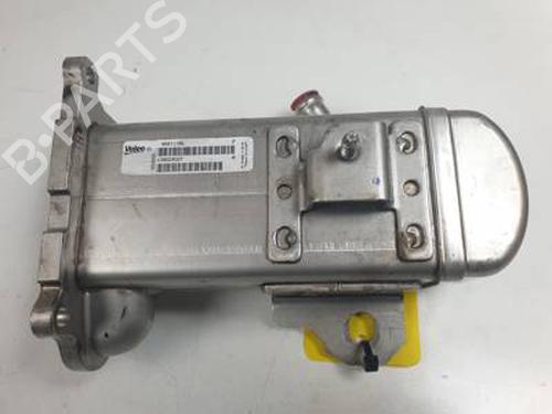 Egr CITROËN C5 III (RD_) 2.0 HDi 165 (RDRHHA, RDRHH8) | BP30959299M69