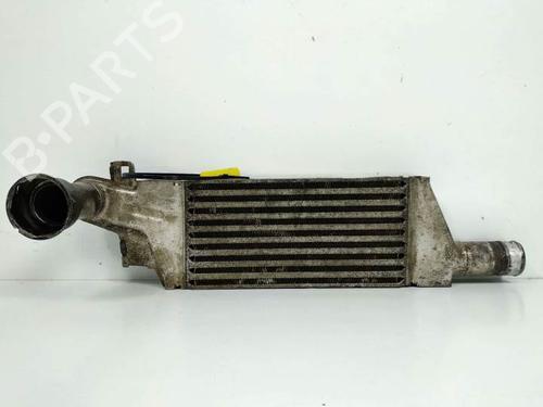 Used Intercooler OPEL COMBO Box Body/MPV 1.3 CDTI 16V (69 hp) 7286041