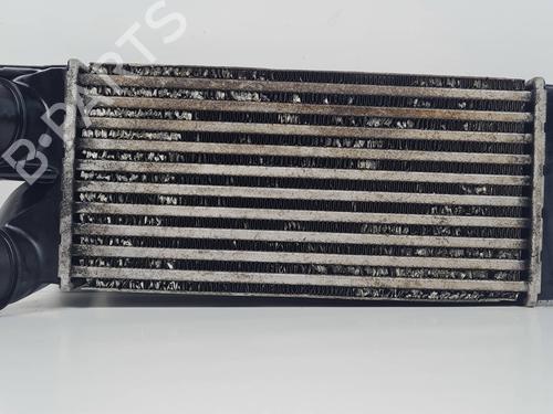 Intercooler Intercooler PEUGEOT 3008 I MPV (0U_) 1.6 HDi (109 hp) 34516562 34516562