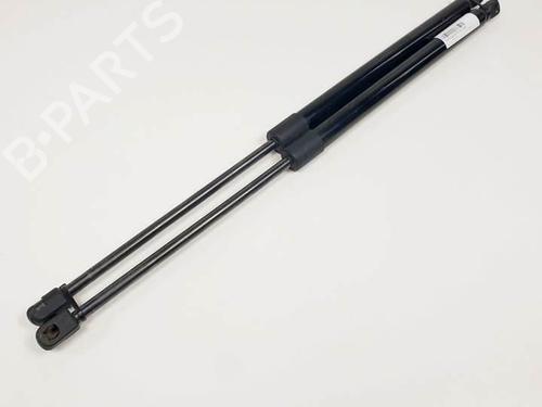 Used Tailgate lift support RENAULT MEGANE II Estate (KM0/1_) 1.5 dCi (KM02, KM13) (101 hp) 25145721