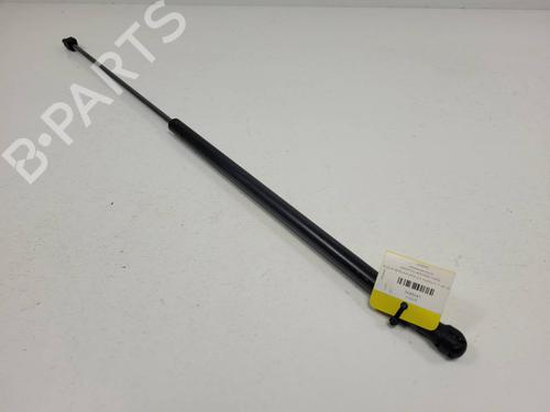 hood-lift-support-audi-a6-c6-4f2-2004-2005-2006-2007-2008-2009-2010-2011-34712360 main image