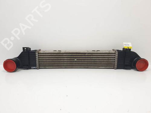 Used Intercooler Intercooler MERCEDES-BENZ S-CLASS (W220, V220) S 320 CDI (220.026, 220.126) (197 hp) 20691215 20691215