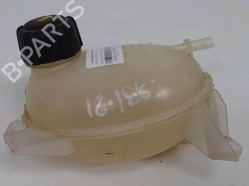 expansion-tank-dacia-sandero-12-16v-217107259r-2008-7864396 main image
