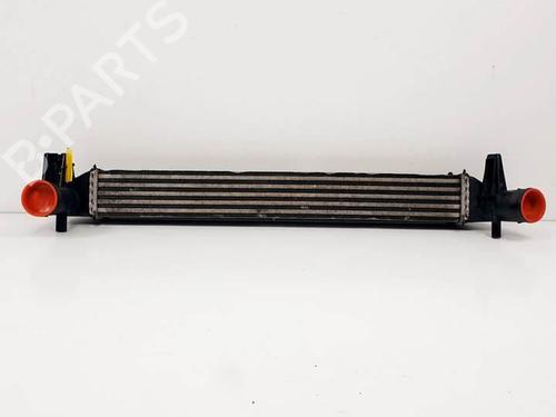Used Intercooler VW POLO V (6R1, 6C1) 1.6 TDI (75 hp) 17028348