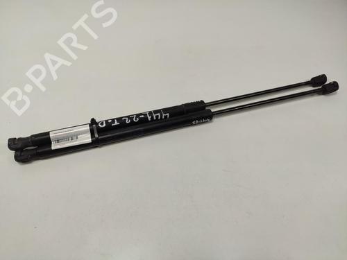 Used Tailgate lift support FORD FIESTA VI (CB1, CCN) 1.4 TDCi (70 hp) 13955170