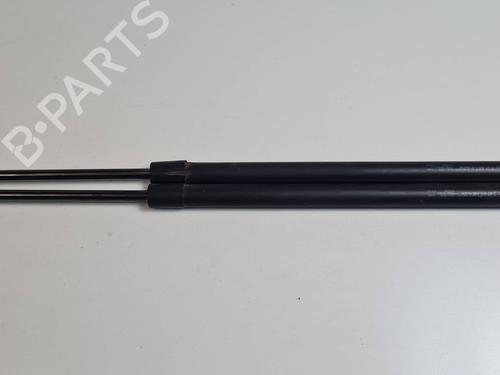 Used Tailgate lift support Tailgate lift support RENAULT SCÉNIC III (JZ0/1_) 2.0 dCi (JZ0Y, JZ26) (150 hp) 30525254 30525254