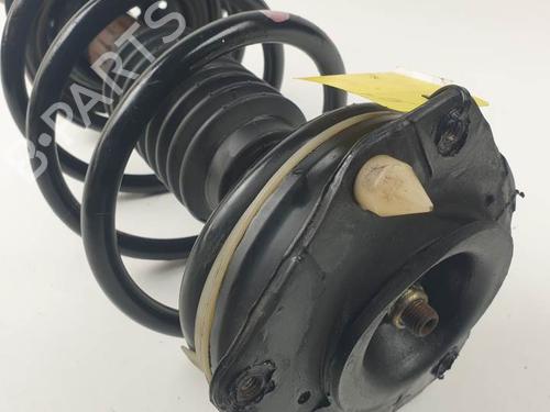 Right front shock absorber RENAULT MEGANE II (BM0/1_, CM0/1_) 1.9 dCi (BM0G, CM0G) | BP25155164M17 