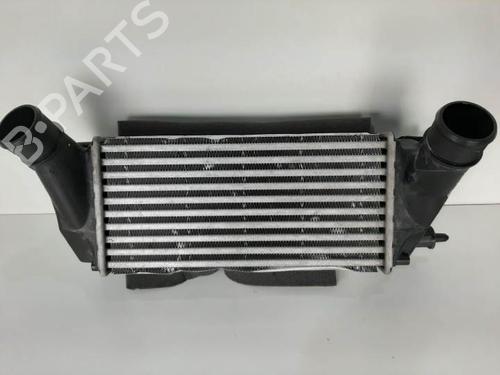 Used Intercooler FORD ECOSPORT 1.0 EcoBoost (125 hp) 6841693