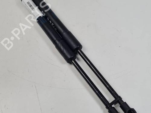 hood-lift-support-audi-q5-8rb-2008-2009-2010-2011-2012-2013-2014-2015-2016-2017-2018-2019-29321896 main image