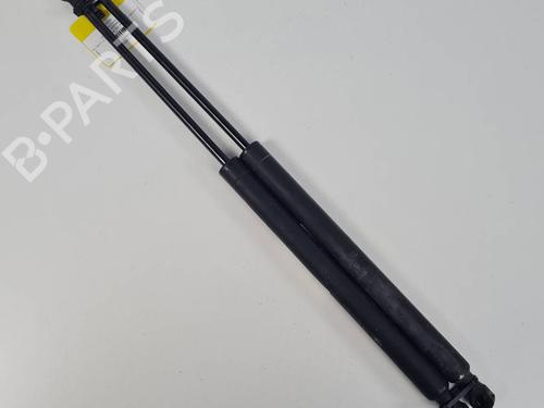 Used Hood lift support Hood lift support PEUGEOT 307 (3A/C) 1.6 HDi (90 hp) 13953213 13953213