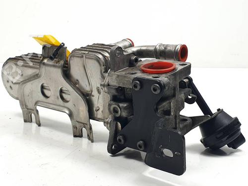 Egr VW TOUAREG (7LA, 7L6, 7L7) 2.5 R5 TDI | BP30166725M69 