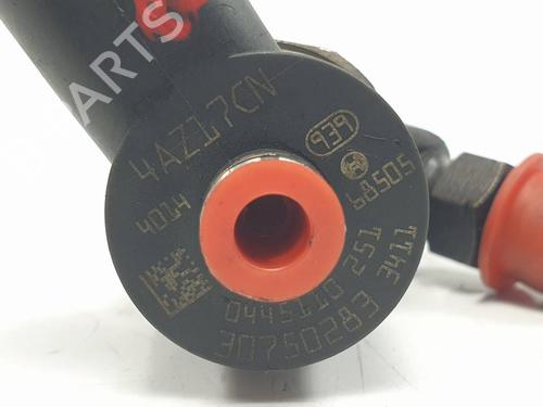 Injector VOLVO S80 II (124) D5 | BP29696818M100 