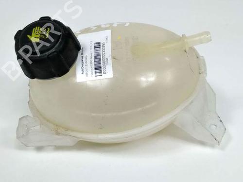 Expansion tank DACIA SANDERO II TCe 90 (B8M1, B8MA, B8AC) | BP7565744C120