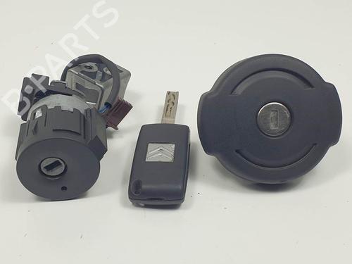 Used Electronic module Electronic module CITROËN C5 III (RD_) 2.0 HDi (RDRHR8) (138 hp) 24990130 24990130