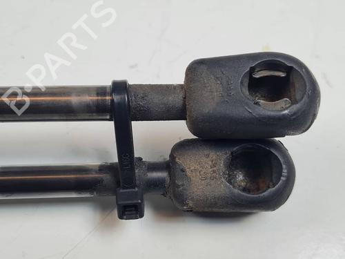 Tailgate lift support VW TOURAN (1T1, 1T2) 1.9 TDI | BP29964865C138 