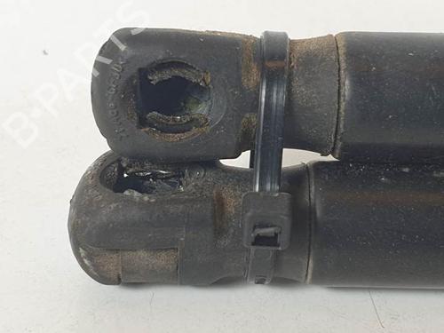 Tailgate lift support FORD FUSION (JU_) 1.4 | BP14977066C138 