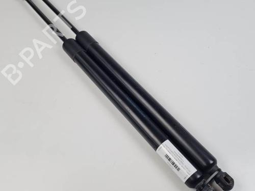 Used Tailgate lift support FORD TOURNEO COURIER B460 MPV 1.5 TDCi (75 hp) 25023191