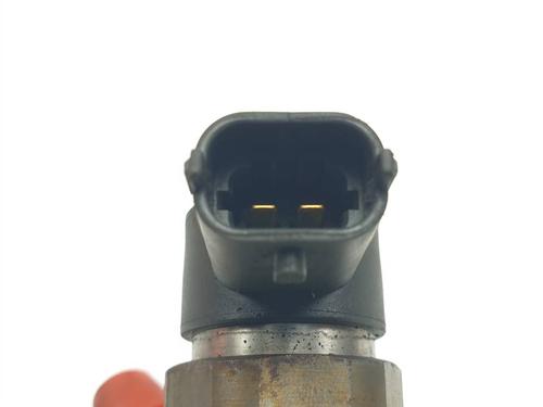 Injector VOLVO S80 II (124) D5 | BP29696819M100 