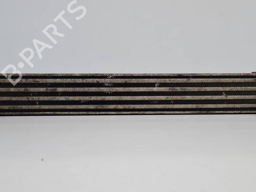 Used Intercooler Intercooler FIAT DOBLO Box Body/MPV (223_) 1.9 JTD (105 hp) 40176600 40176600