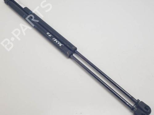 Gassdemper Bakluke RENAULT SCÉNIC II (JM0/1_) 1.6 16V (JM1R) | BP25453594C138 