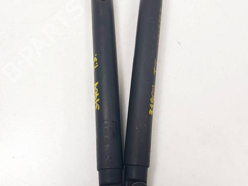 Tailgate lift support BMW X5 (E53) 3.0 d | BP31058841C138 - Image 2