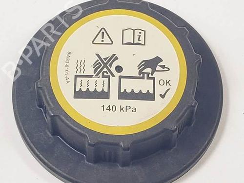 expansion-tank-jaguar-xj-x351-30-sdv6-v01re-2009-19302849 main image