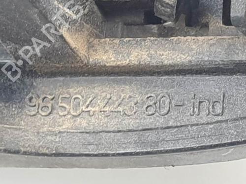 Front right exterior door handle CITROËN C3 I (FC_, FN_) 1.4 16V HDi | BP28061713C129 
