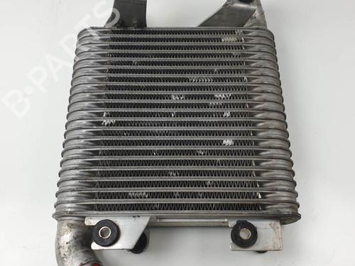 Intercooler ISUZU TROOPER III 3.0 DTI | BP25931727M30 