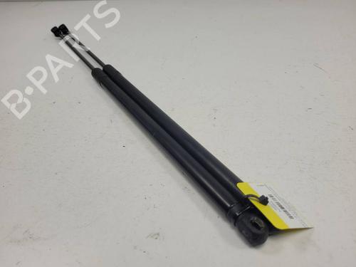 Used Tailgate lift support Tailgate lift support RENAULT MEGANE CC (EZ0/1_) 1.5 dCi (EZ09, EZ1G, EZ0D, EZ14) (110 hp) 34712385 34712385