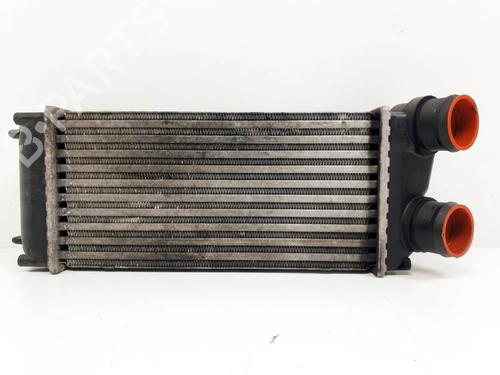 Used Intercooler Intercooler PEUGEOT 307 SW (3H) 1.6 HDI 110 (109 hp) 27525747 27525747