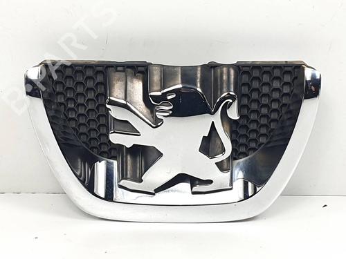 Used Grille Grille PEUGEOT 207 (WA_, WC_) 1.4 HDi (68 hp) 29989815 29989815