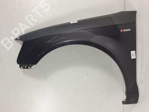 Left front fenders AUDI A3 Convertible (8P7) 1.9 TDI | BP24989740C41 