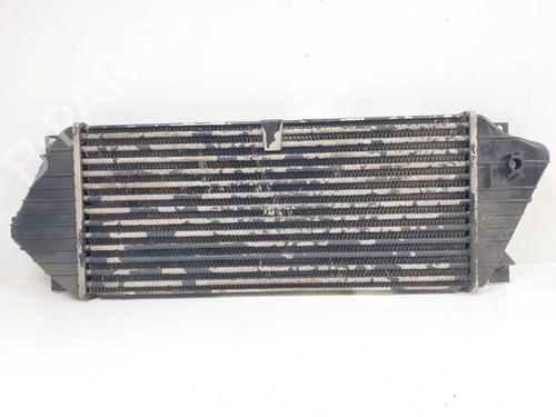 Intercooler MERCEDES-BENZ M-CLASS (W163) ML 270 CDI (163.113) | BP14852626M30 