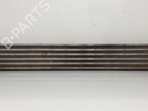 Used Intercooler OPEL MERIVA A MPV (X03) 1.7 CDTI (E75) (100 hp) 20510989