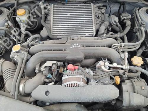 Køler SUBARU EXIGA (YA_)  | BP17665198M31 