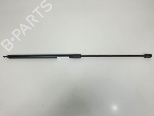 Gasfjeder motorhjelm Gasfjeder motorhjelm RENAULT MEGANE CC (EZ0/1_) 1.4 TCe (EZ0F, EZ1V) (131 hp) 13953745 13953745