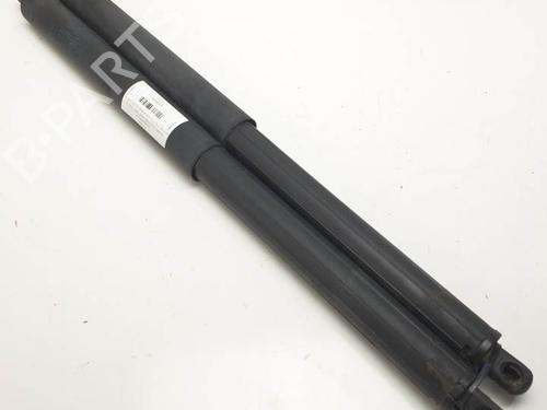 Used Tailgate lift support BMW X5 (E70) 3.0 d (235 hp) 29245181