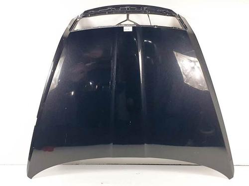 Hood SKODA OCTAVIA II (1Z3) 2.0 TDI 16V | 4 PUERTAS