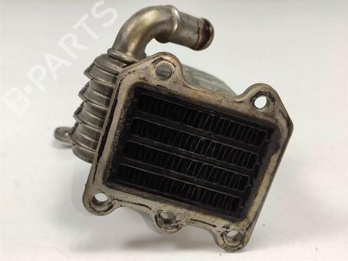 Egr CHRYSLER VOYAGER IV (RG, RS) 2.8 CRD | BP13955262M69 