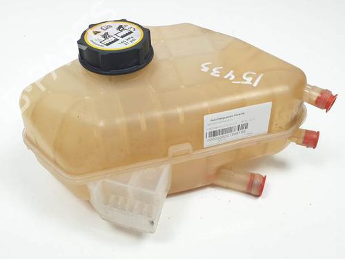 Used Expansion tank FORD FIESTA VI (CB1, CCN) 1.0 EcoBoost (100 hp) 25146053
