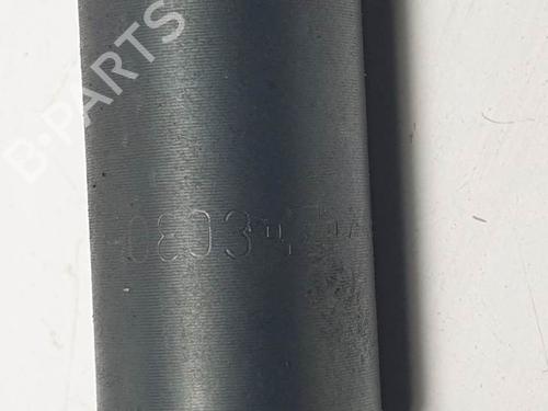 Injector NISSAN ALMERA TINO (V10) 2.2 dCi | BP12385874M100 