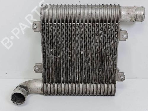 Intercooler Intercooler KIA CARENS II MPV (FJ) 2.0 CRDi (113 hp) 6853191 6853191