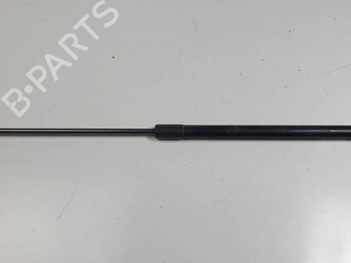 Used Hood lift support RENAULT MEGANE III Hatchback (BZ0/1_, B3_) 1.5 dCi (BZ09, BZ0D, BZ1W, BZ29, BZ14) (110 hp) 28448073
